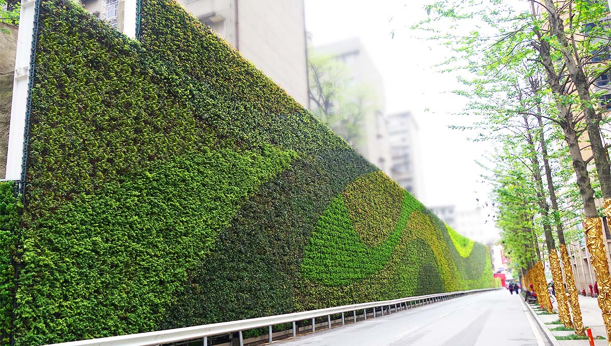 株洲育才道路立体绿化