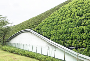 深圳地铁前海车辆段6号地块园林景观立体绿化工程
